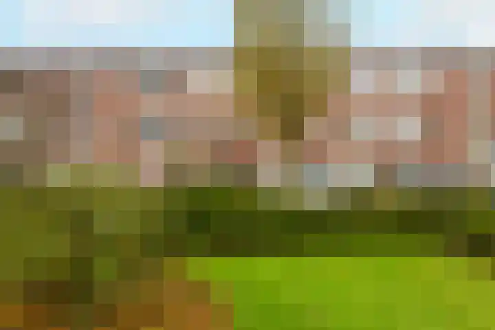 Hanenburglaan 46 Den Haag thumbnail 42