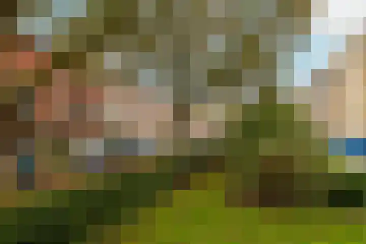 Hanenburglaan 46 Den Haag thumbnail 43