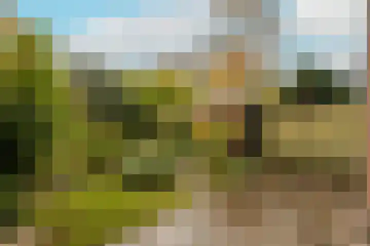 Hanenburglaan 46 Den Haag thumbnail 5