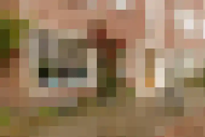 Hanenburglaan 46 Den Haag thumbnail 6