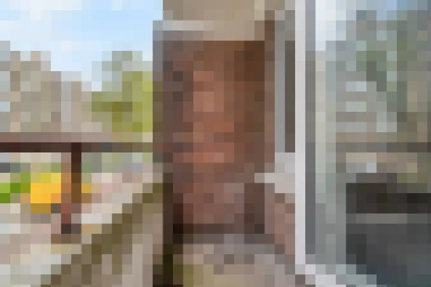 Hanenburglaan 80 Den Haag thumbnail 25