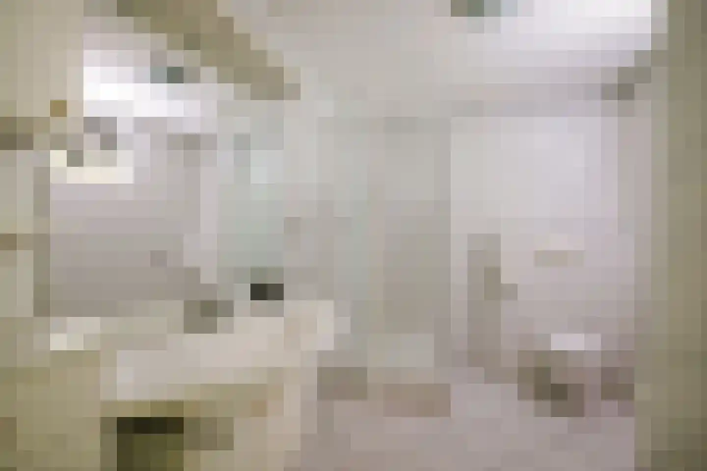 Hanendorperweg 234 Emst thumbnail 15