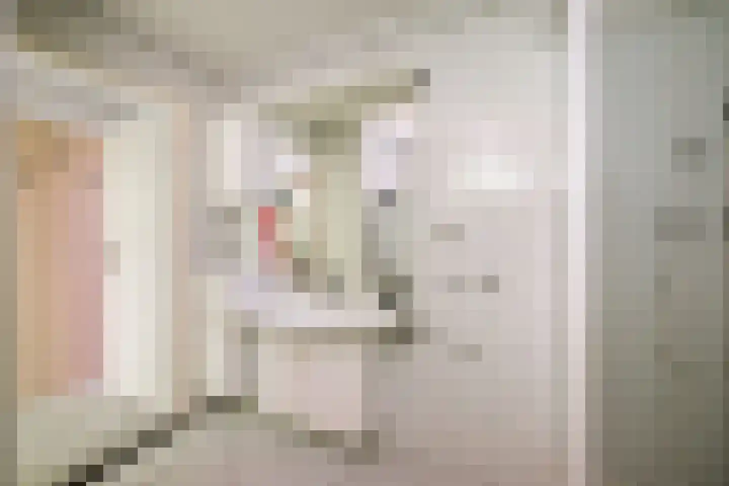 Hanendorperweg 234 Emst thumbnail 16
