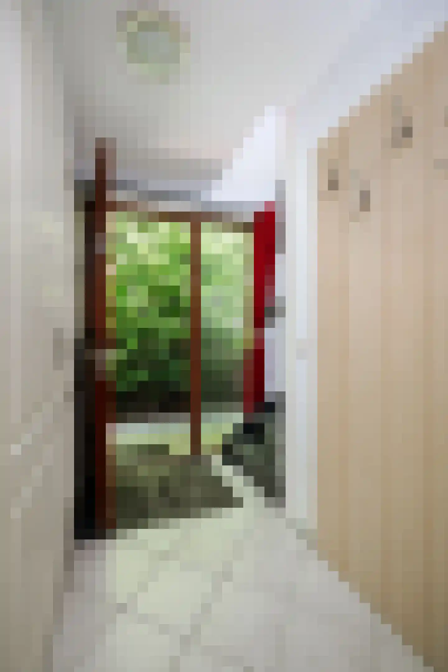 Hanendorperweg 234 Emst thumbnail 17