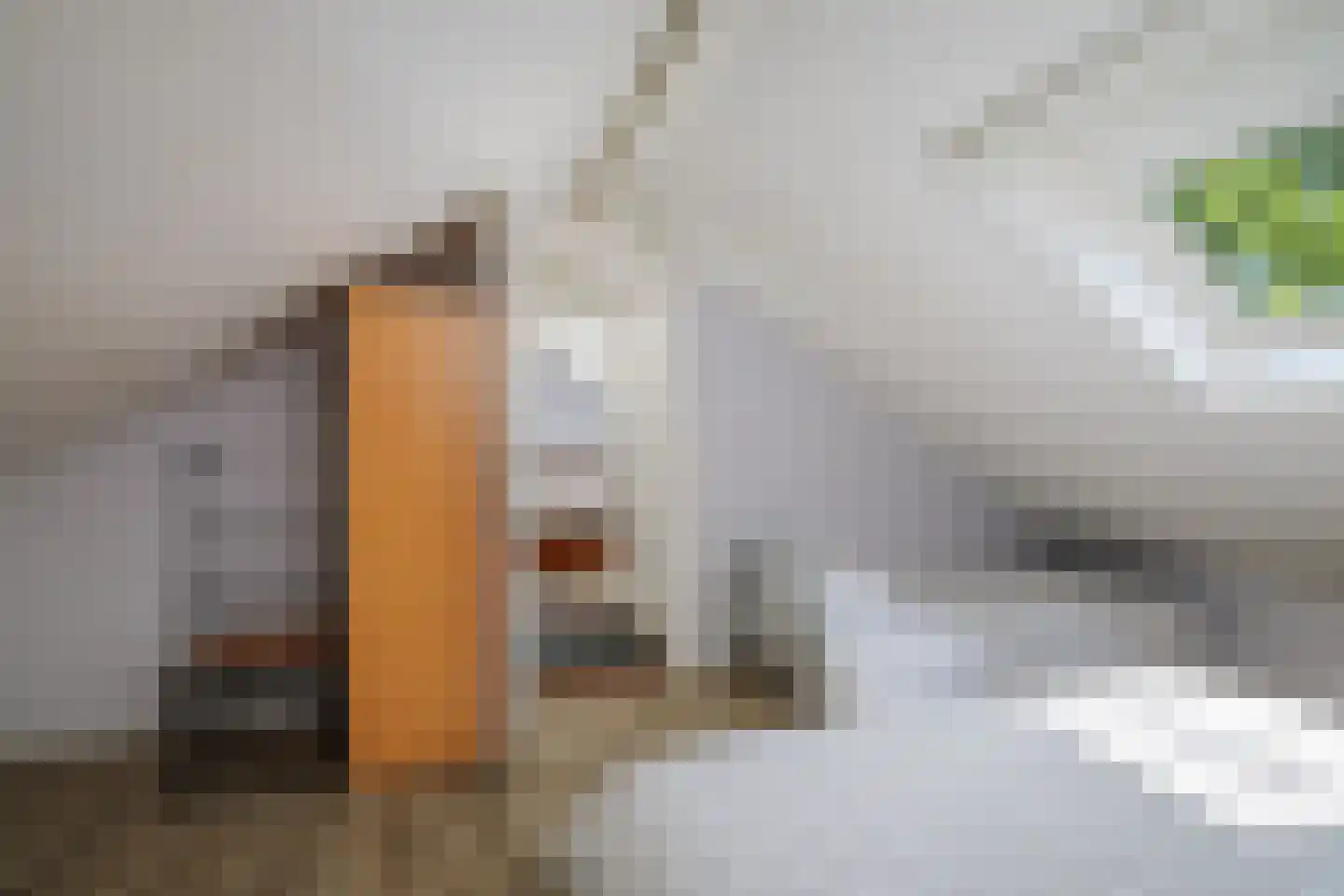 Hanendorperweg 234 Emst thumbnail 22