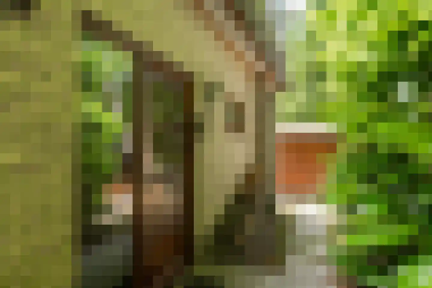 Hanendorperweg 234 Emst thumbnail 23