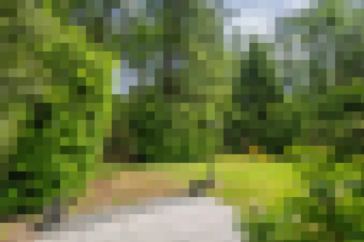 Hanendorperweg 234 Emst thumbnail 25