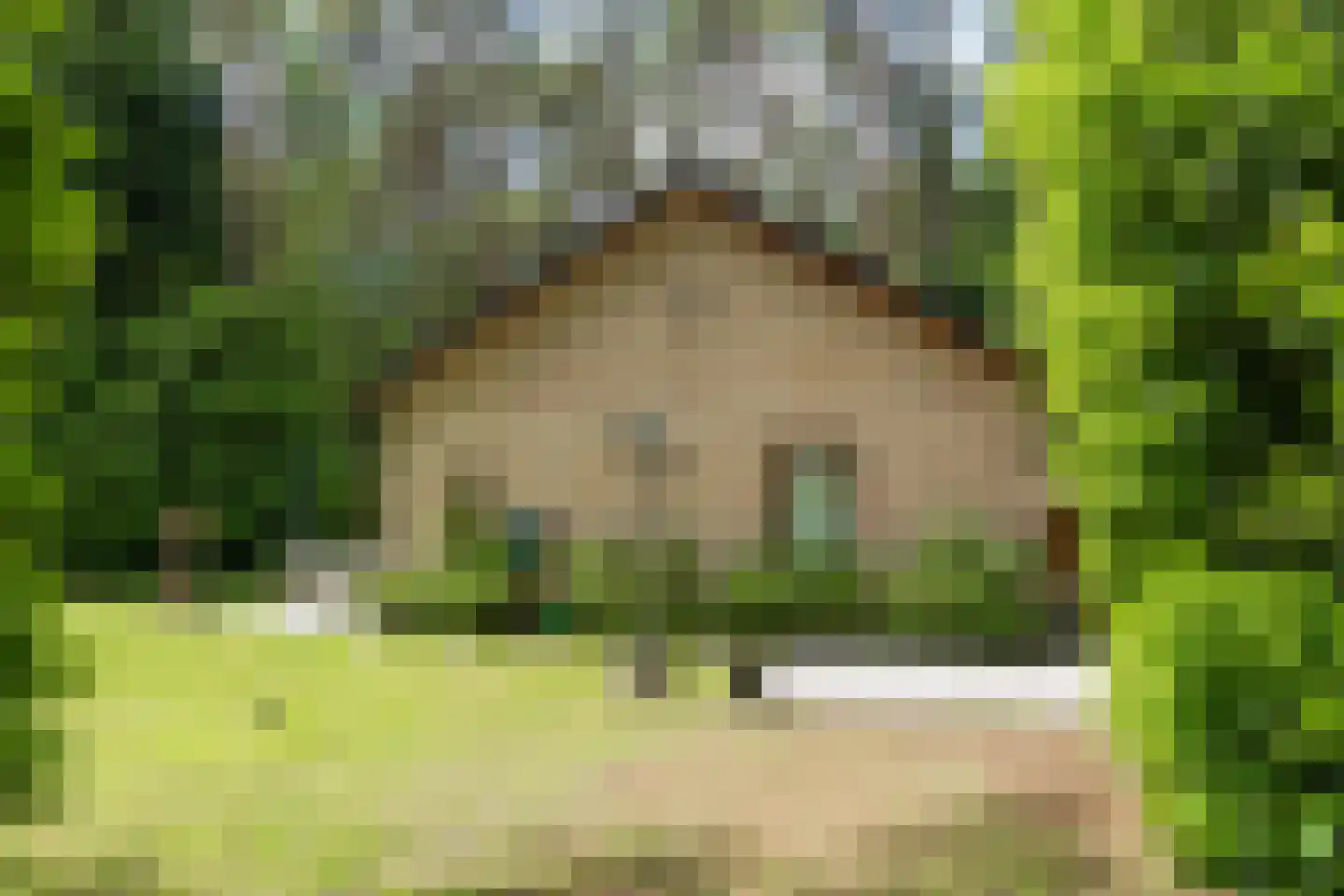 Hanendorperweg 234 Emst thumbnail 26