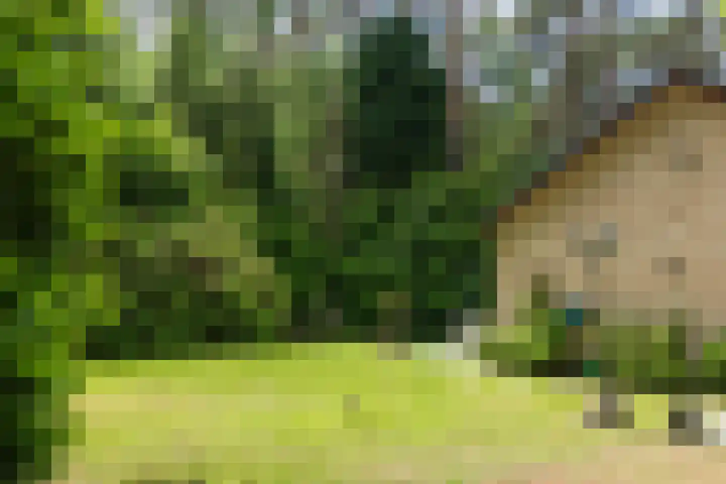 Hanendorperweg 234 Emst thumbnail 27