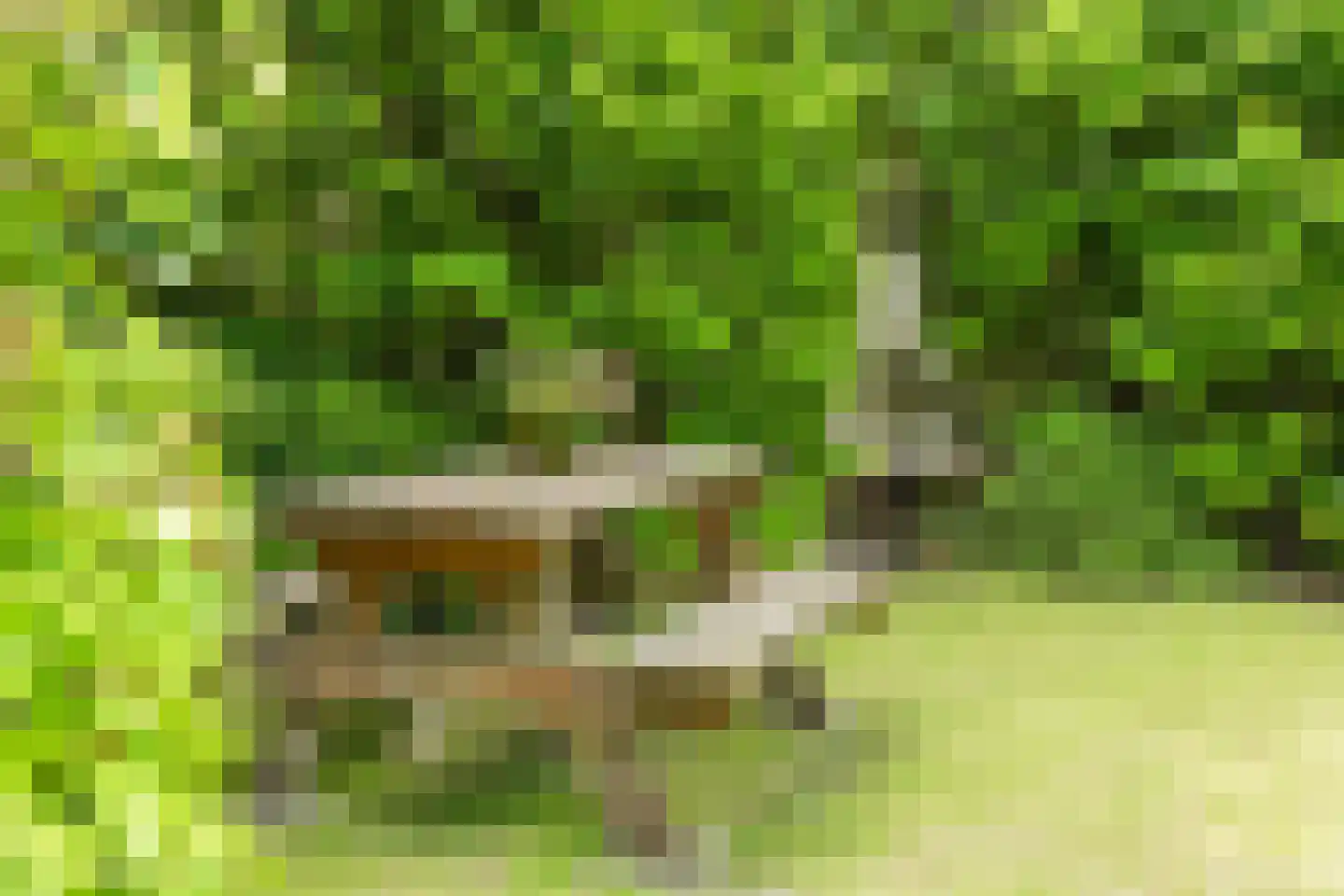 Hanendorperweg 234 Emst thumbnail 28