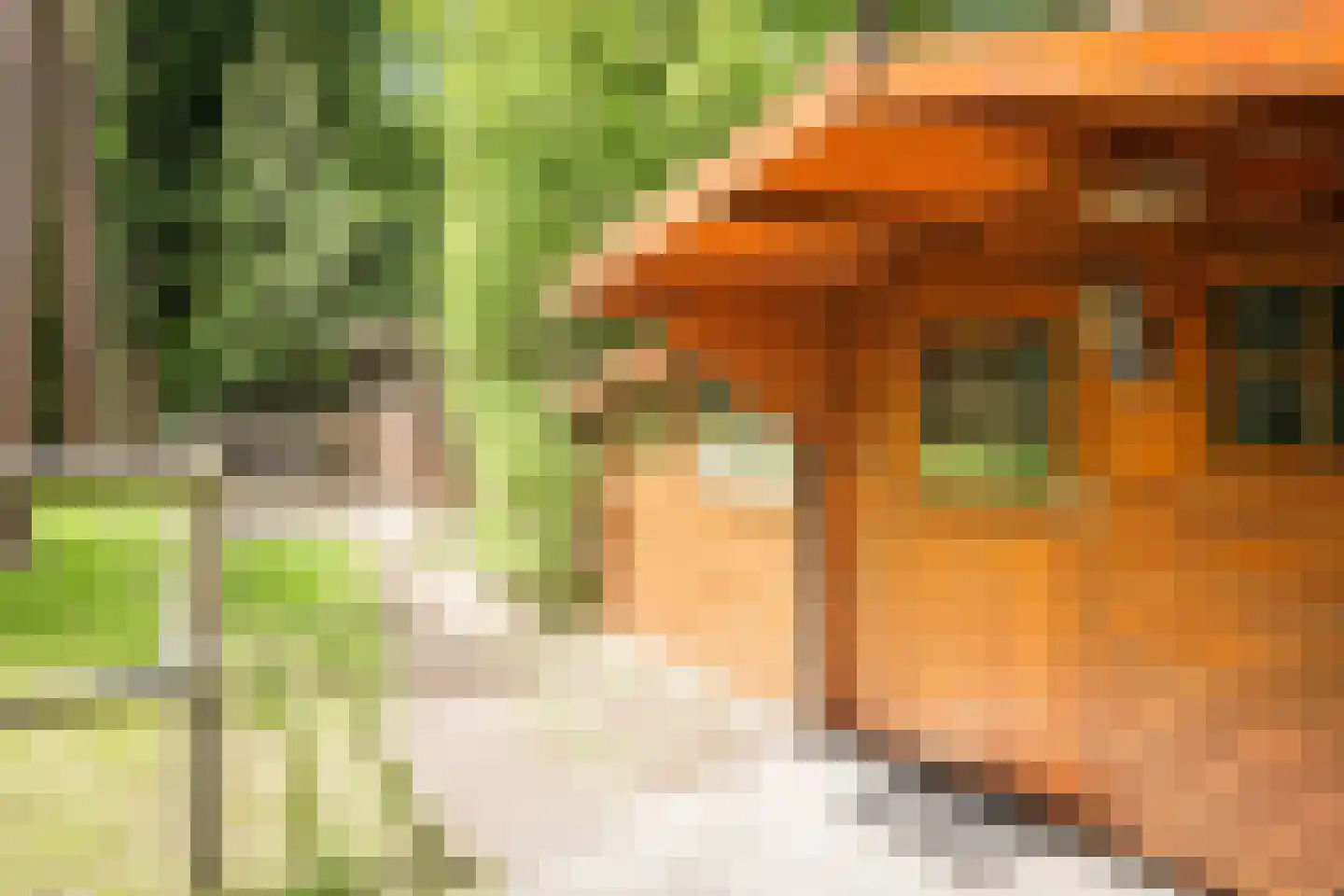 Hanendorperweg 234 Emst thumbnail 29