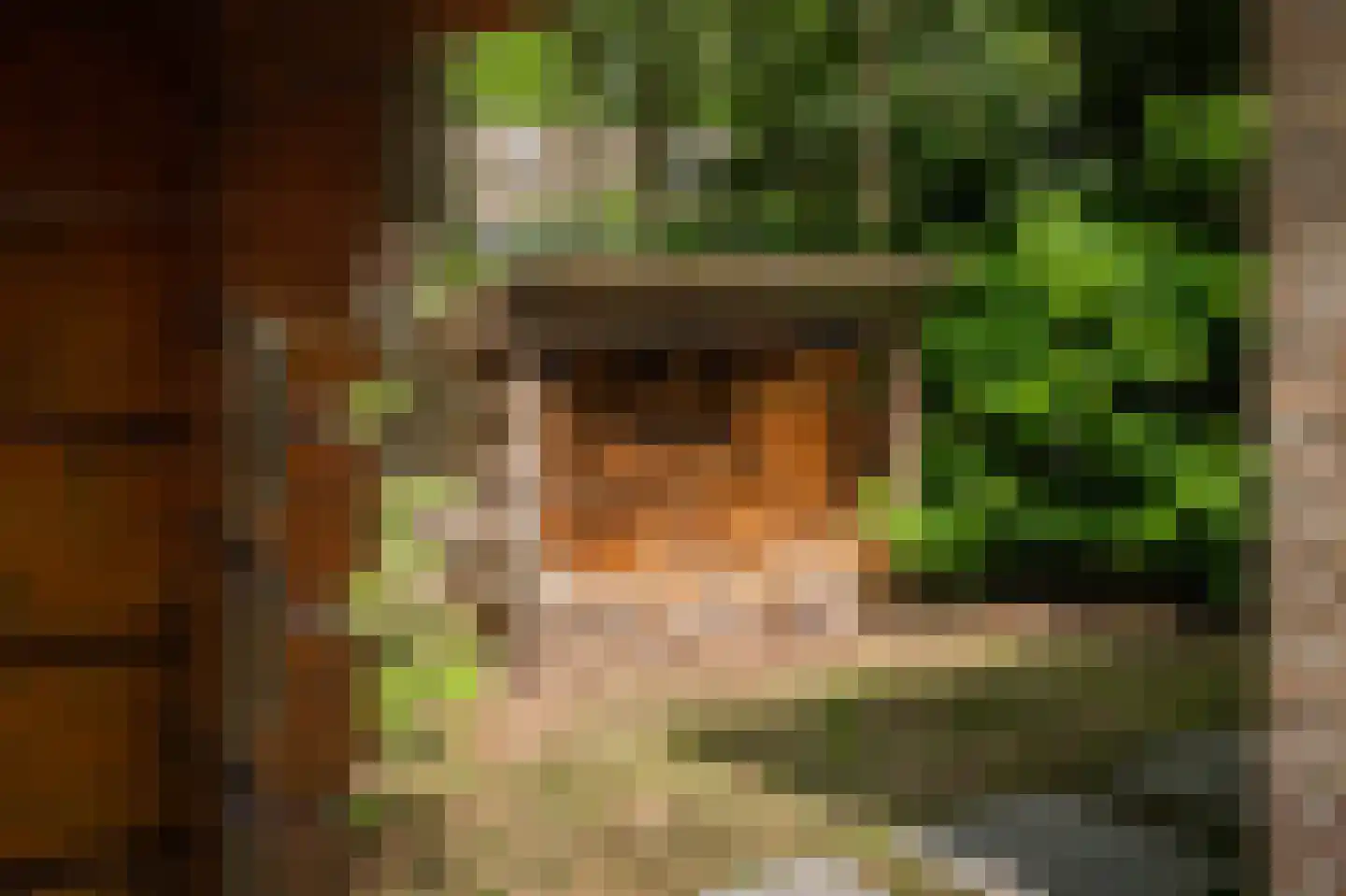 Hanendorperweg 234 Emst thumbnail 30