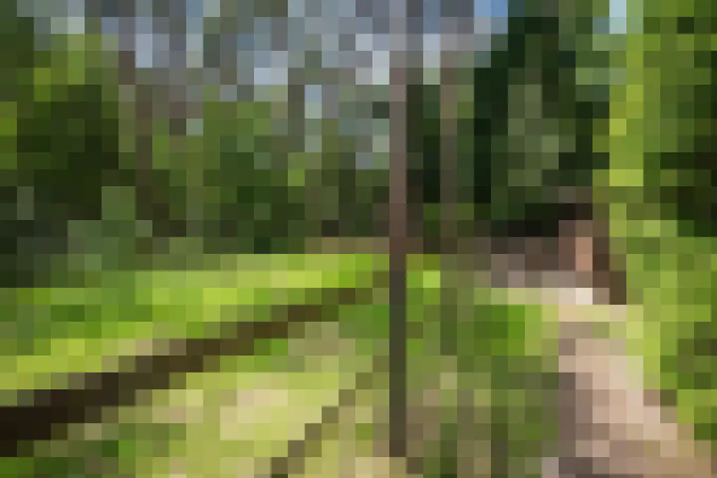 Hanendorperweg 234 Emst thumbnail 31
