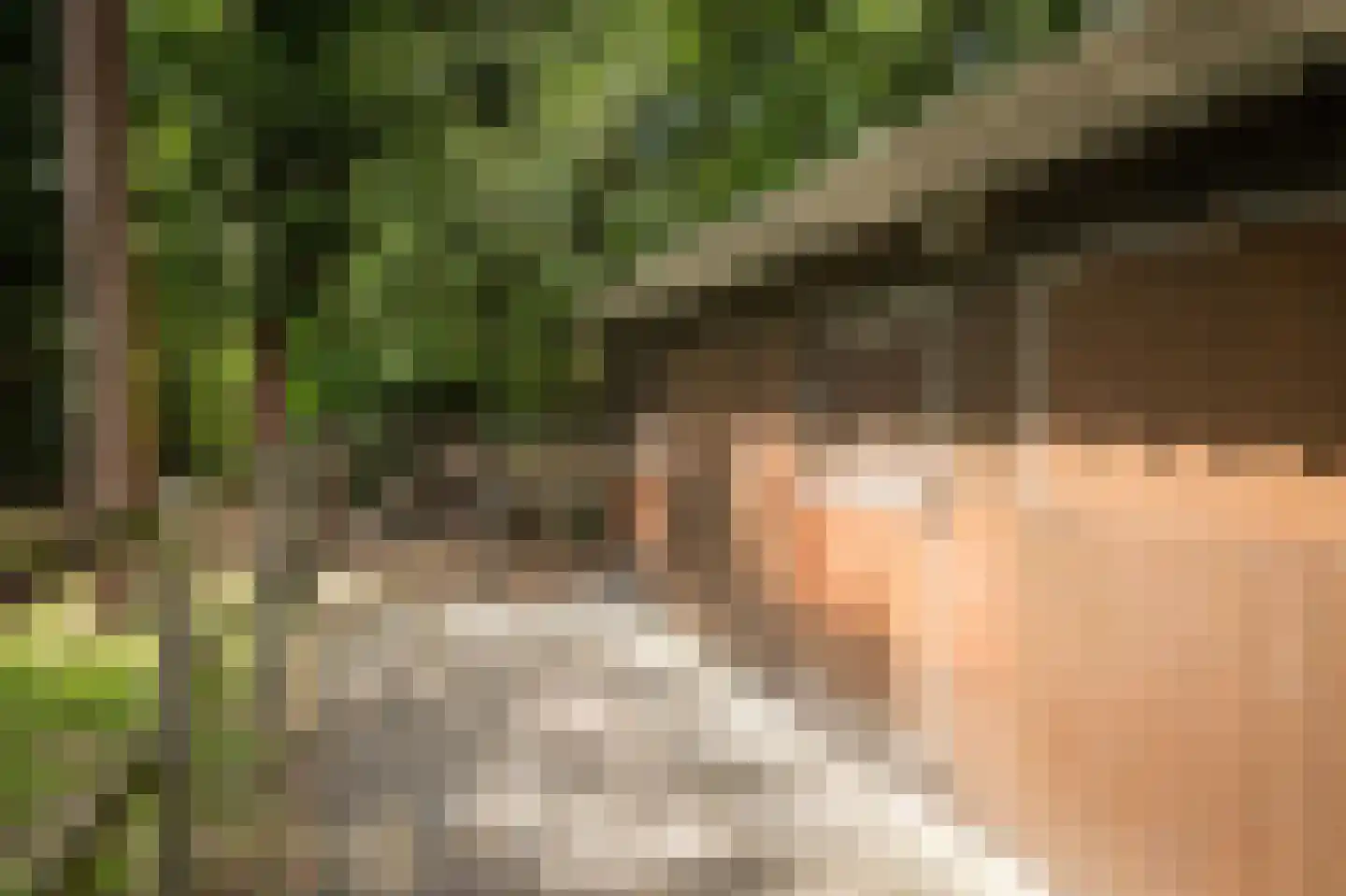 Hanendorperweg 234 Emst thumbnail 32