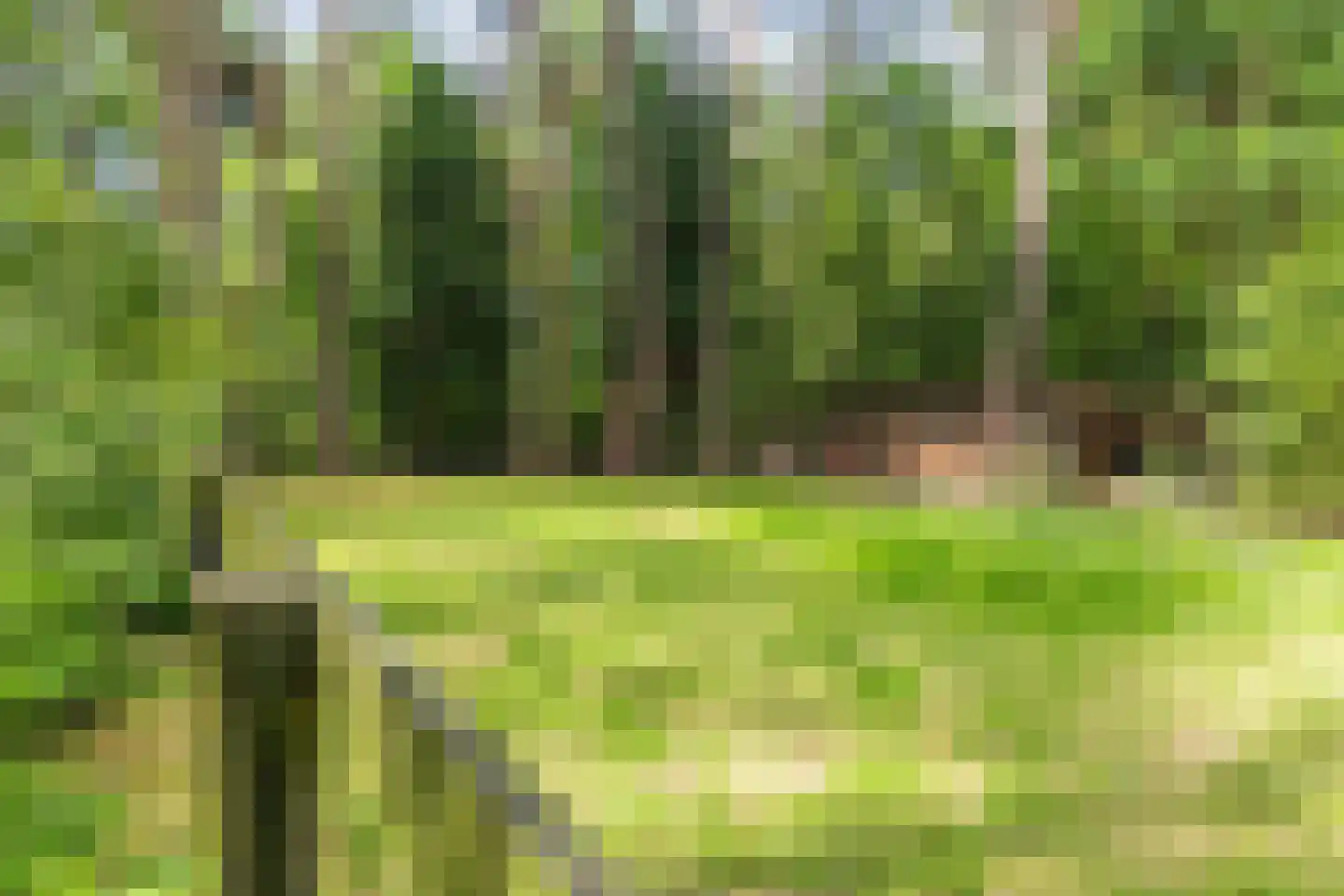 Hanendorperweg 234 Emst thumbnail 33