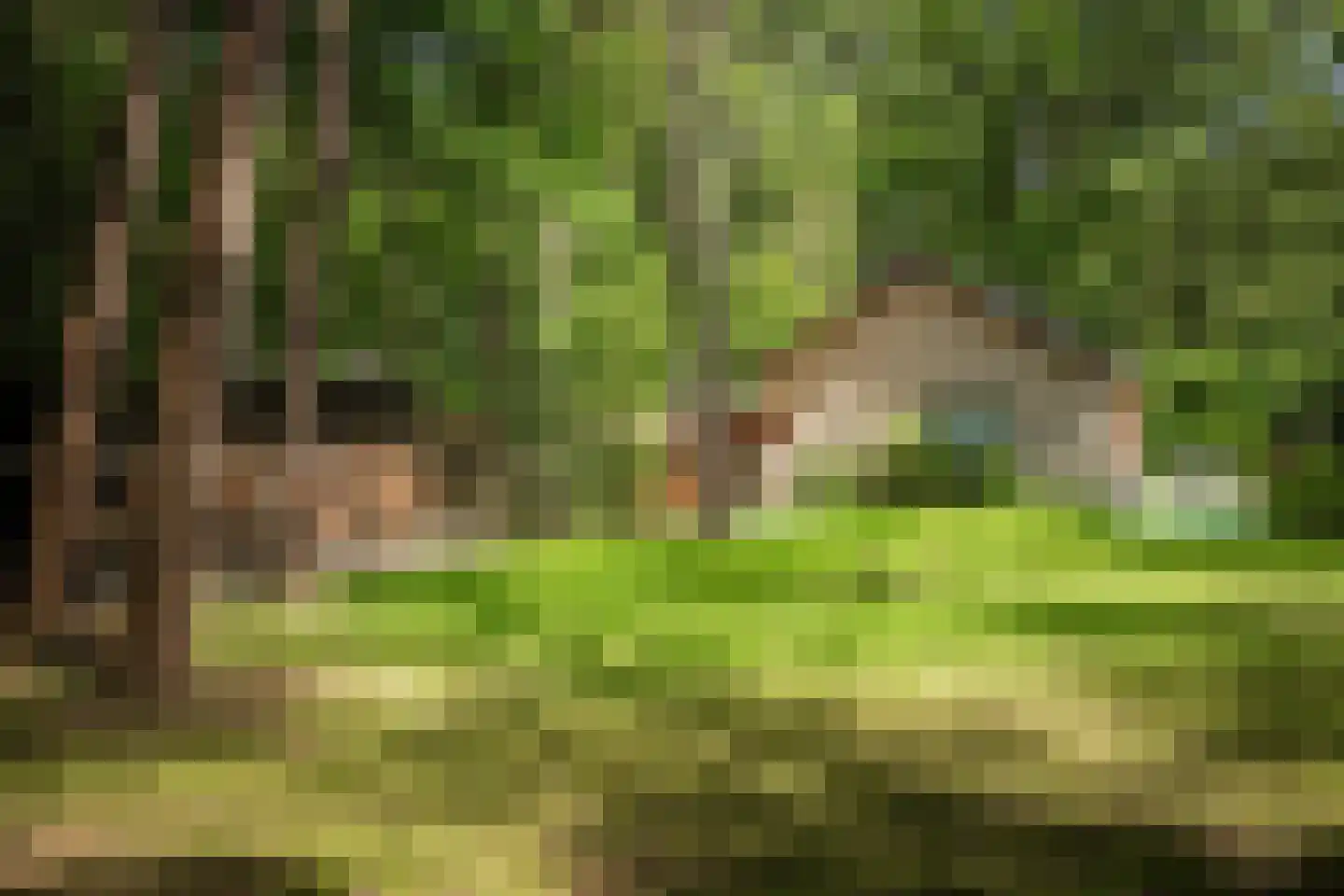 Hanendorperweg 234 Emst thumbnail 34