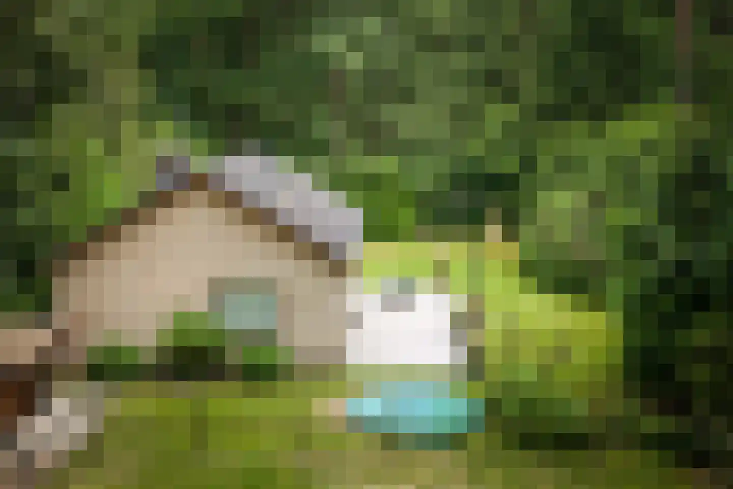 Hanendorperweg 234 Emst thumbnail 36