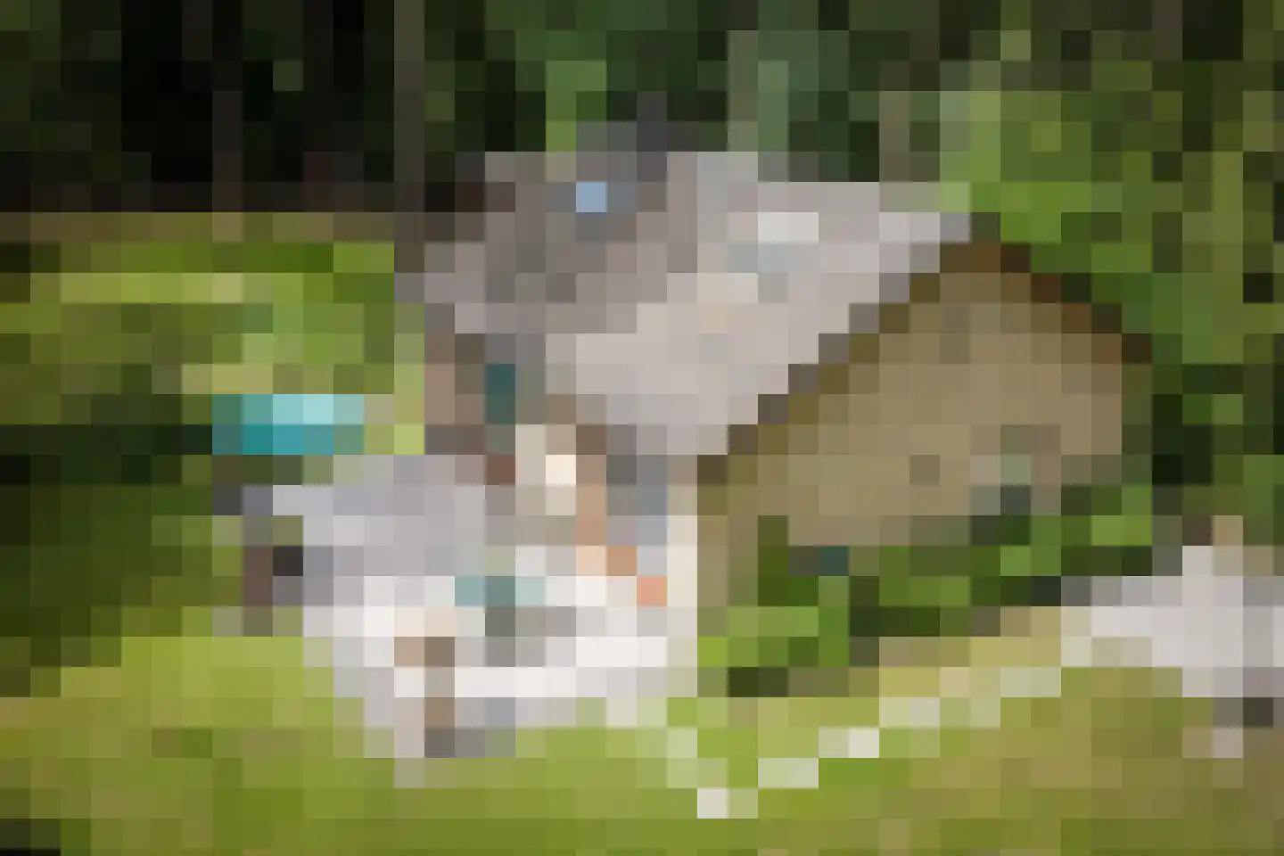 Hanendorperweg 234 Emst thumbnail 37