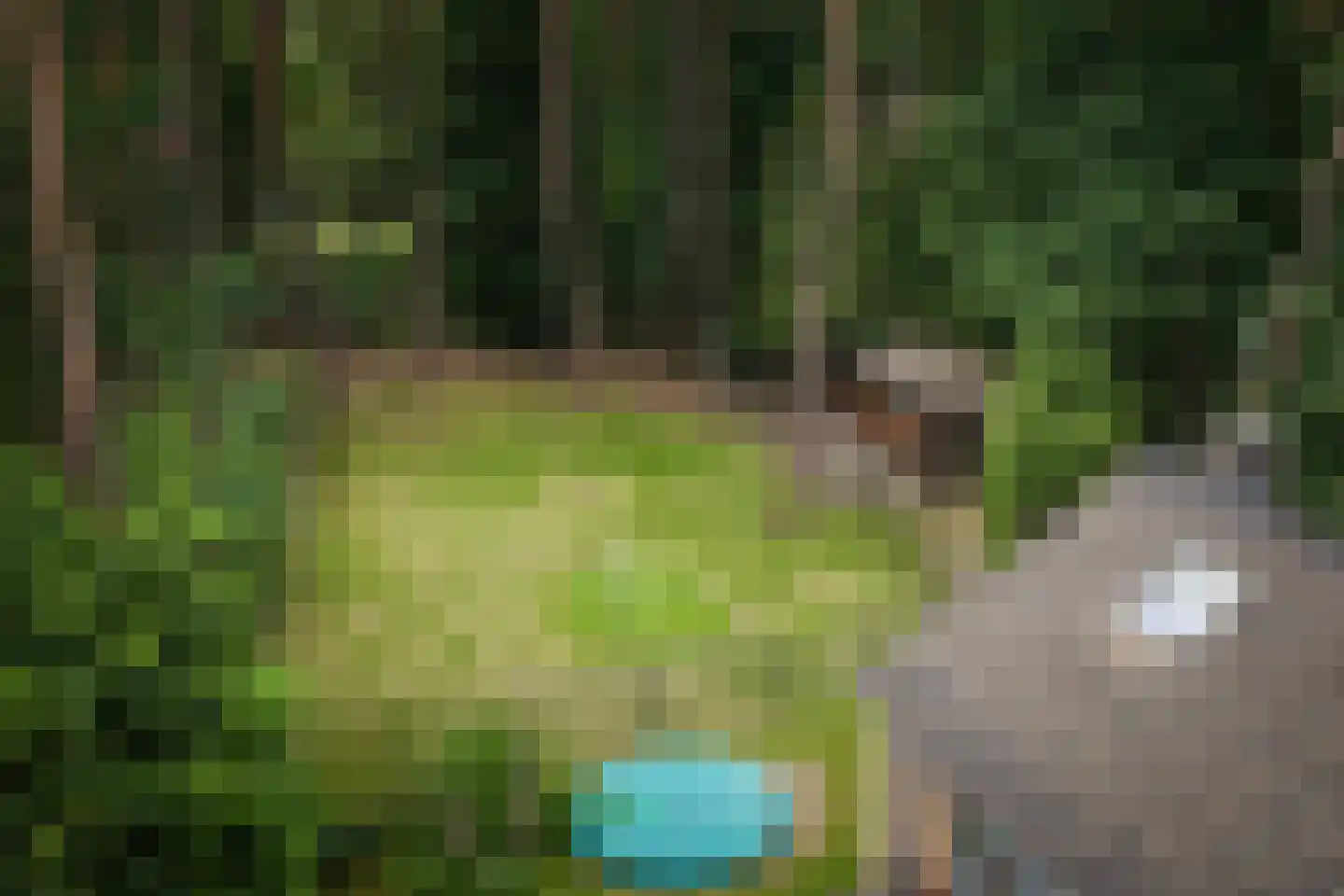 Hanendorperweg 234 Emst thumbnail 38