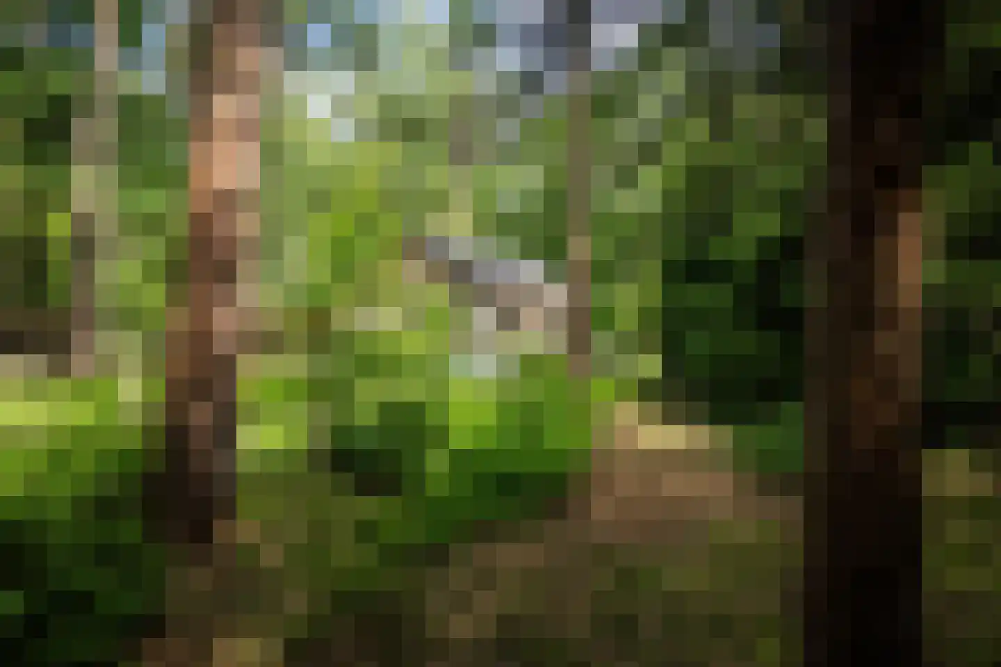 Hanendorperweg 234 Emst thumbnail 39