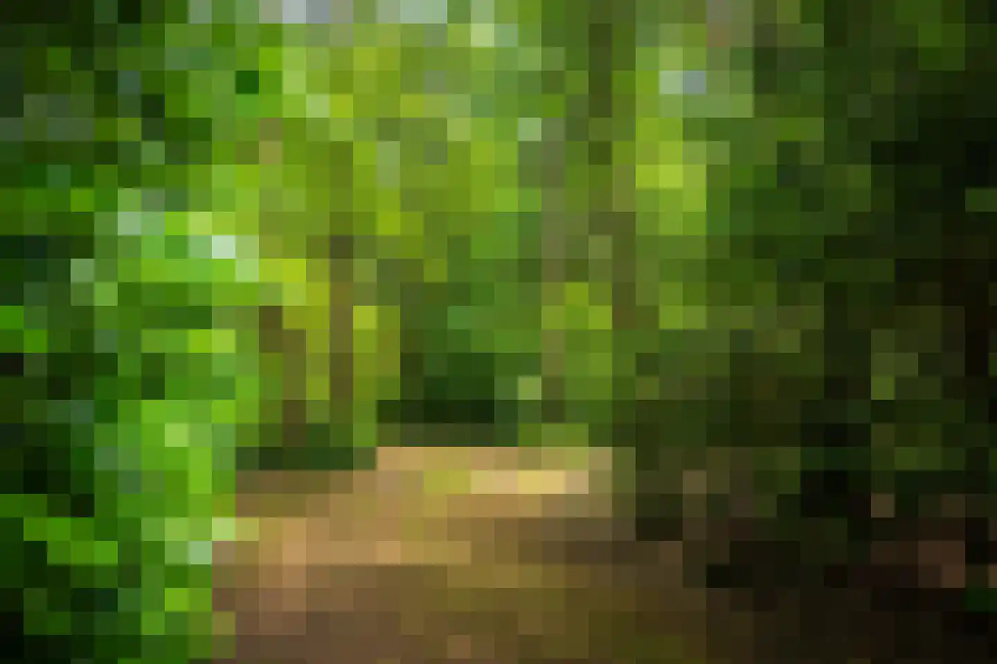 Hanendorperweg 234 Emst thumbnail 40