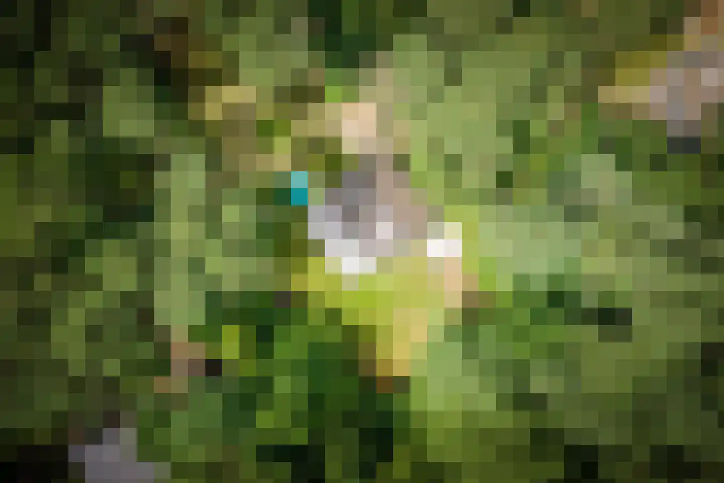 Hanendorperweg 234 Emst thumbnail 41