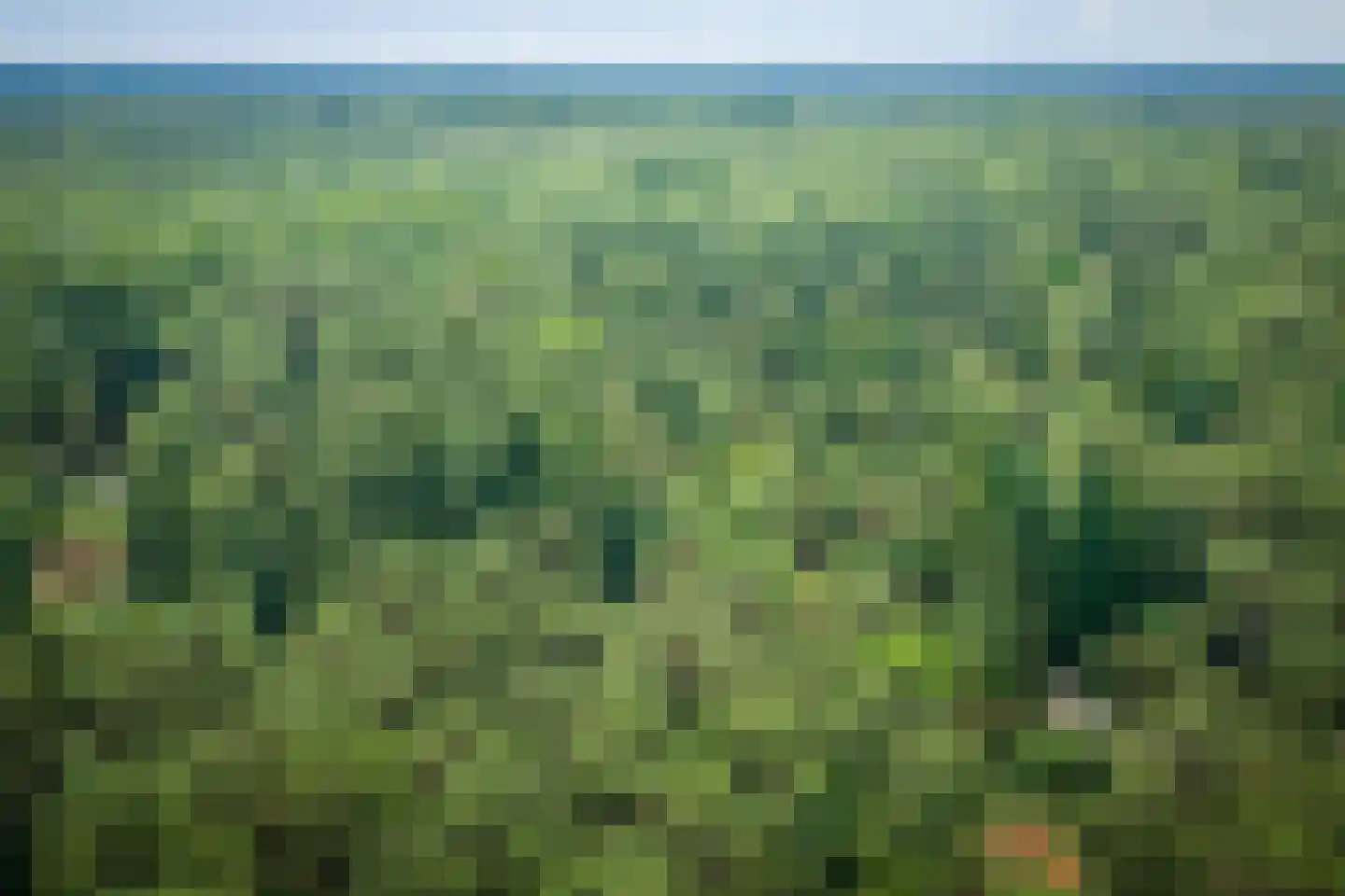 Hanendorperweg 234 Emst thumbnail 42