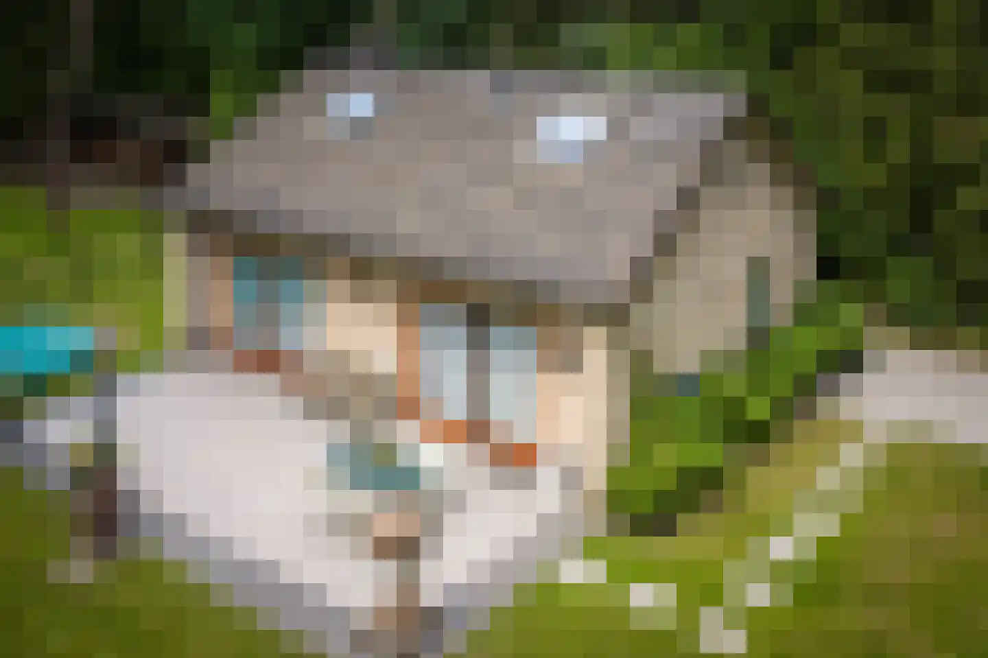 Hanendorperweg 234 Emst thumbnail 5