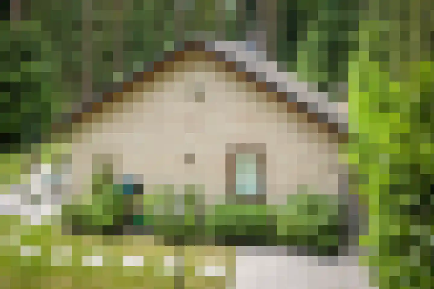 Hanendorperweg 234 Emst thumbnail 6