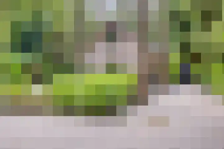 Hanendorperweg 246 Emst thumbnail 10