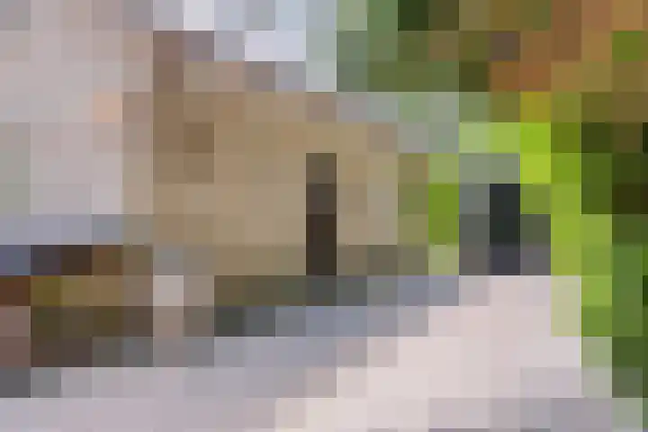 Hanendorperweg 246 Emst thumbnail 11