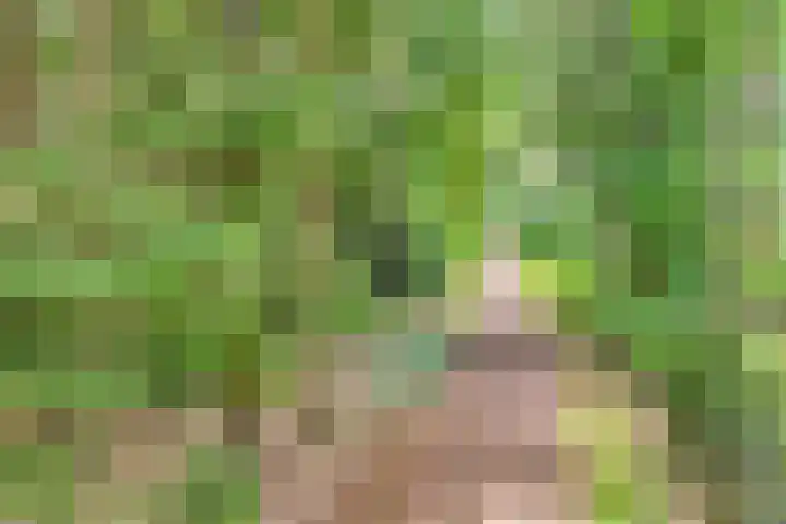 Hanendorperweg 246 Emst thumbnail 12