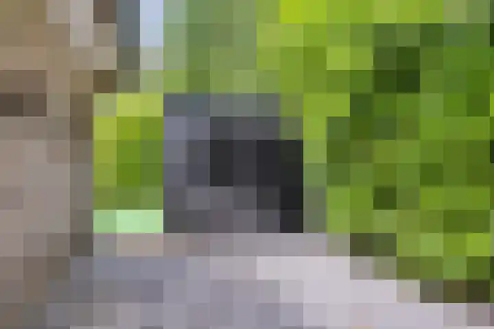 Hanendorperweg 246 Emst thumbnail 13