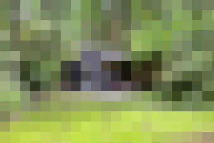 Hanendorperweg 246 Emst thumbnail 14