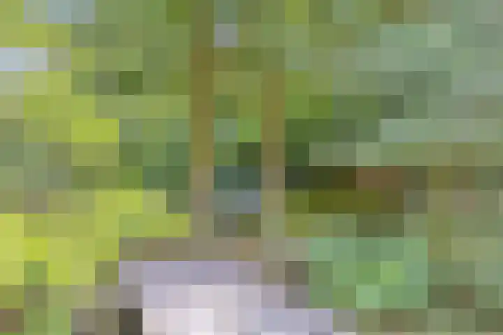 Hanendorperweg 246 Emst thumbnail 16