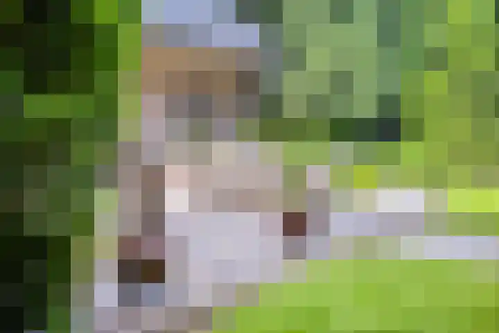 Hanendorperweg 246 Emst thumbnail 17
