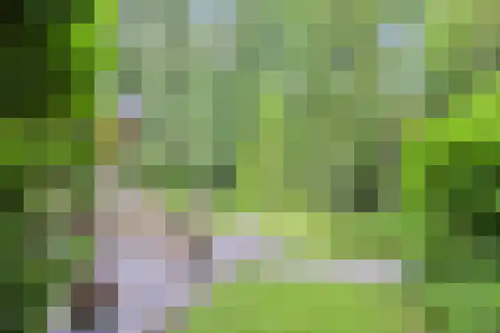 Hanendorperweg 246 Emst thumbnail 18