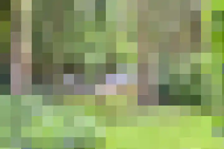 Hanendorperweg 246 Emst thumbnail 19