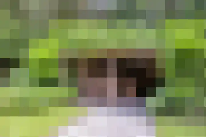 Hanendorperweg 246 Emst thumbnail 20
