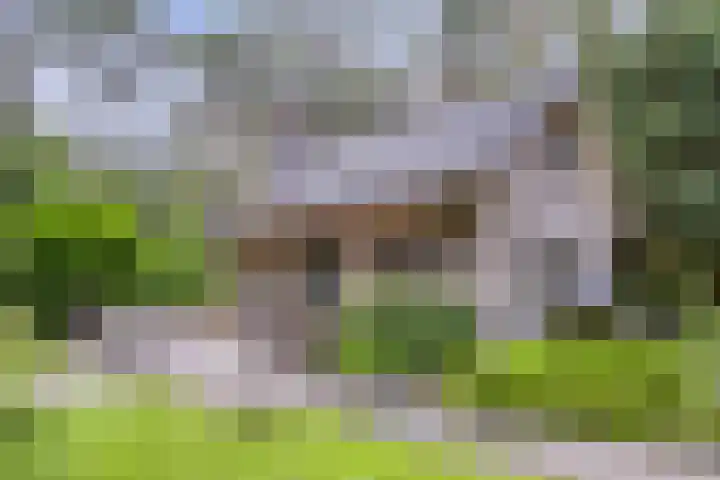 Hanendorperweg 246 Emst thumbnail 21