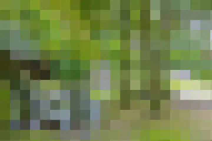 Hanendorperweg 246 Emst thumbnail 22
