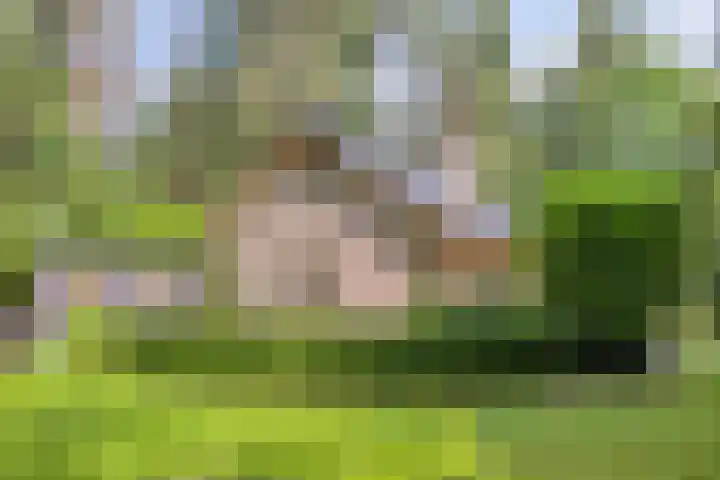Hanendorperweg 246 Emst thumbnail 23