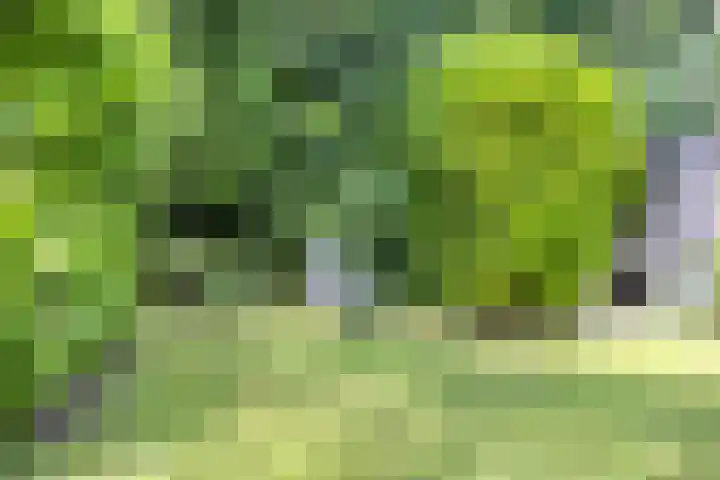 Hanendorperweg 246 Emst thumbnail 24