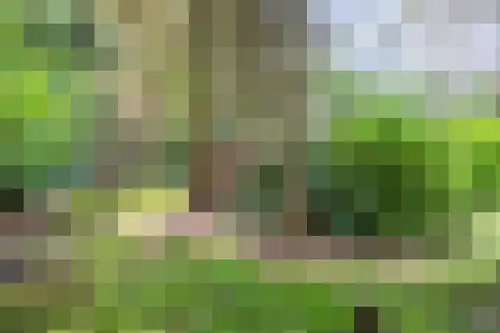 Hanendorperweg 246 Emst thumbnail 25