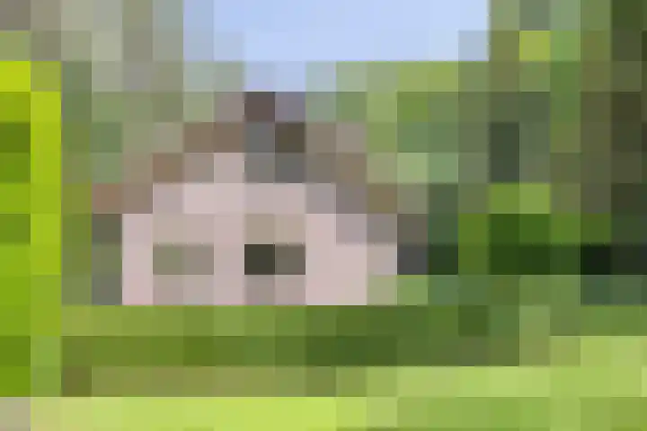 Hanendorperweg 246 Emst thumbnail 26