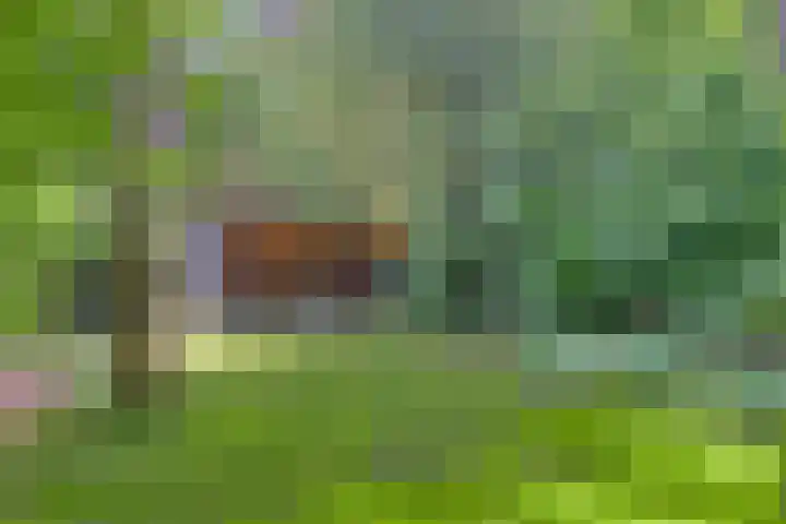Hanendorperweg 246 Emst thumbnail 27