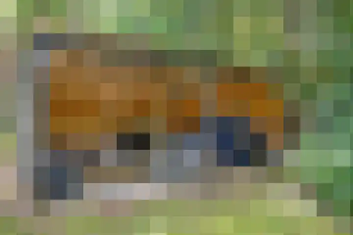 Hanendorperweg 246 Emst thumbnail 28