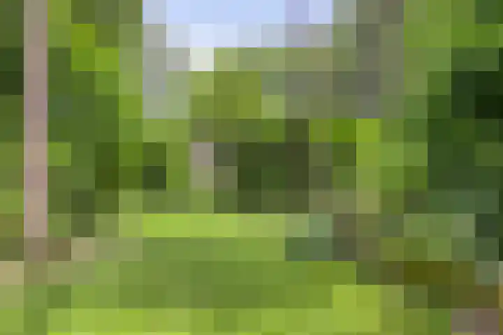 Hanendorperweg 246 Emst thumbnail 29