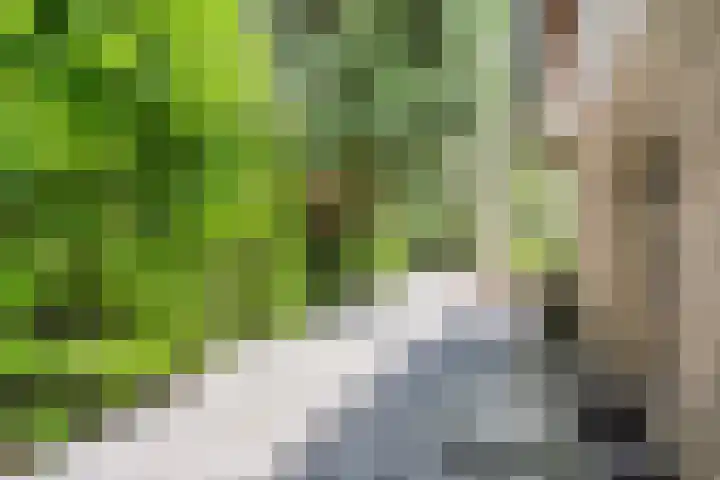 Hanendorperweg 246 Emst thumbnail 30
