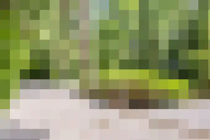 Hanendorperweg 246 Emst thumbnail 31